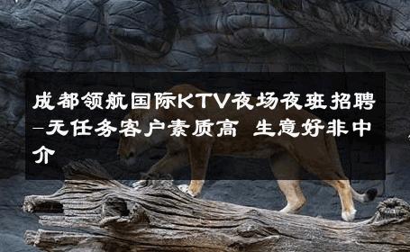 成都领航国际KTV夜场夜班招聘-无任务客户素质高 生意好非中介