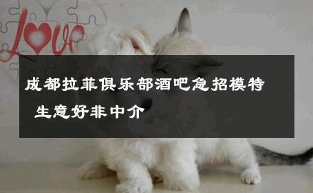 成都拉菲俱乐部酒吧急招模特 生意好非中介