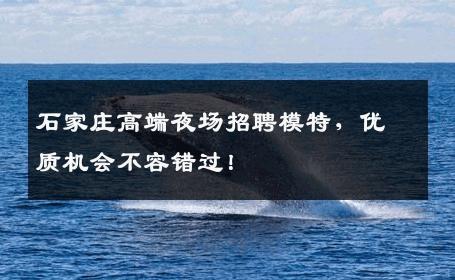 石家庄高端夜场招聘模特，优质机会不容错过！