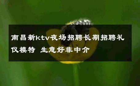 南昌新ktv夜场招聘长期招聘礼仪模特 生意好非中介