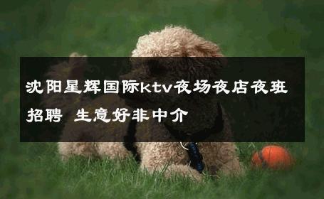 沈阳星辉国际ktv夜场夜店夜班招聘 生意好非中介