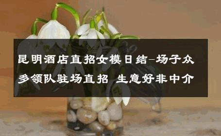 昆明酒店直招女模日结-场子众多领队驻场直招 生意好非中介