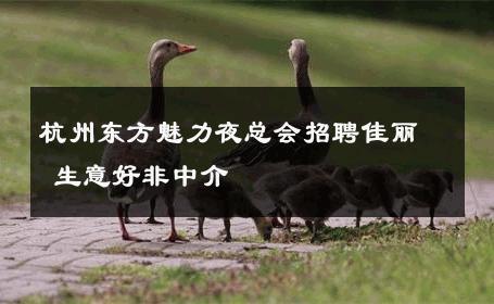 杭州东方魅力夜总会招聘佳丽 生意好非中介