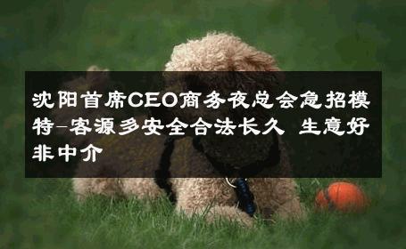 沈阳首席CEO商务夜总会急招模特-客源多安全合法长久 生意好非中介