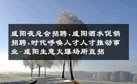咸阳夜总会招聘,咸阳酒水促销招聘,时代呼唤人才人才推动事业-咸阳生意火爆场所直招