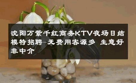 沈阳万紫千红商务KTV夜场日结模特招聘-无费用客源多 生意好非中介