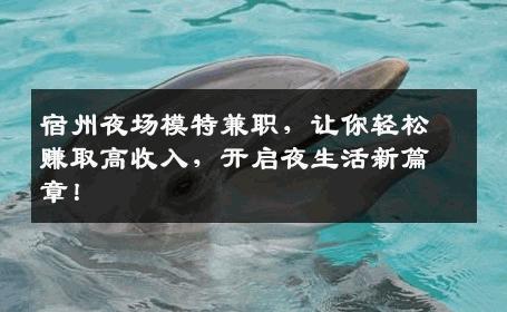宿州夜场模特兼职，让你轻松赚取高收入，开启夜生活新篇章！