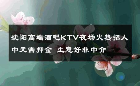 沈阳高端酒吧KTV夜场火热招人中无需押金 生意好非中介