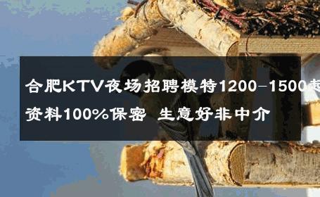 合肥KTV夜场招聘模特1200-1500起资料100%保密 生意好非中介