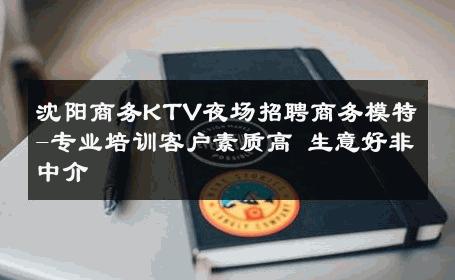 沈阳商务KTV夜场招聘商务模特-专业培训客户素质高 生意好非中介