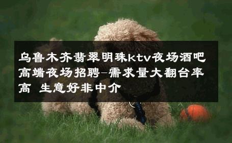 乌鲁木齐翡翠明珠ktv夜场酒吧高端夜场招聘-需求量大翻台率高 生意好非中介