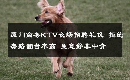 厦门商务KTV夜场招聘礼仪-拒绝套路翻台率高 生意好非中介