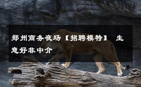 郑州商务夜场【招聘模特】 生意好非中介