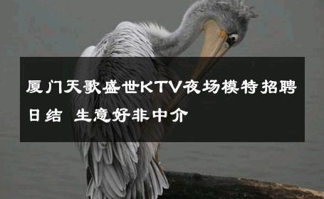 厦门天歌盛世KTV夜场模特招聘日结 生意好非中介