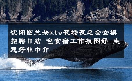 沈阳图兰朵ktv夜场夜总会女模招聘日结-包食宿工作氛围好 生意好非中介