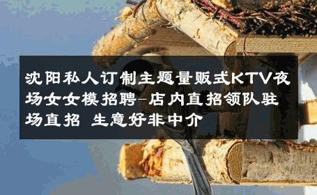 沈阳私人订制主题量贩式KTV夜场女女模招聘-店内直招领队驻场直招 生意好非中介