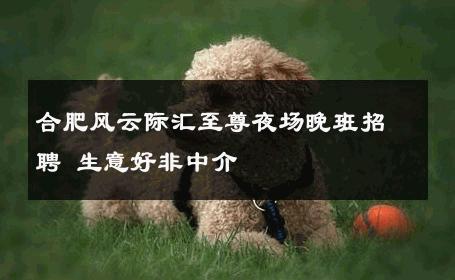 合肥风云际汇至尊夜场晚班招聘 生意好非中介