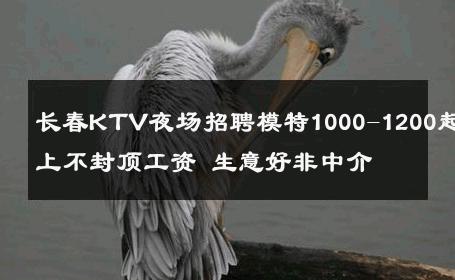 长春KTV夜场招聘模特1000-1200起上不封顶工资 生意好非中介