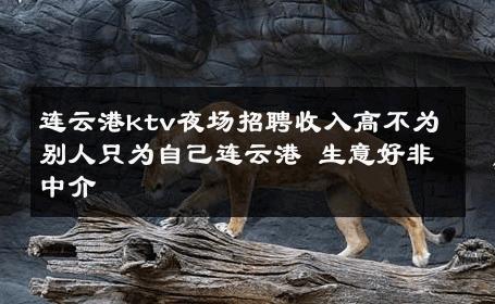 连云港ktv夜场招聘收入高不为别人只为自己连云港 生意好非中介