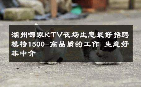 湖州哪家KTV夜场生意最好招聘模特1500-高品质的工作 生意好非中介