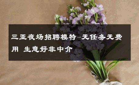 三亚夜场招聘模特-无任务无费用 生意好非中介
