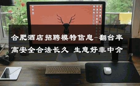 合肥酒店招聘模特信息-翻台率高安全合法长久 生意好非中介