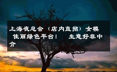 上海夜总会（店内直招）女模 佳丽绿色平台！  生意好非中介
