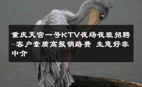 重庆天宫一号KTV夜场夜班招聘-客户素质高报销路费 生意好非中介