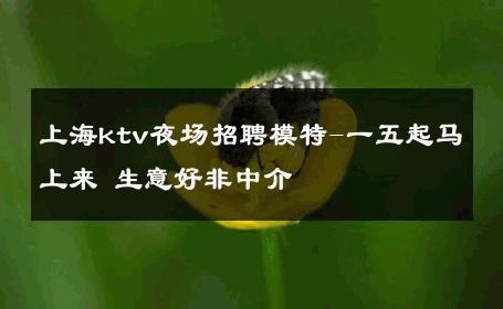 上海ktv夜场招聘模特-一五起马上来 生意好非中介