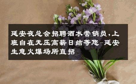 延安夜总会招聘酒水营销员,上班自在无压高薪日结等您-延安生意火爆场所直招