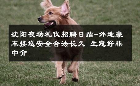 沈阳夜场礼仪招聘日结-外地豪车接送安全合法长久 生意好非中介