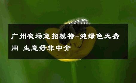 广州夜场急招模特-纯绿色无费用 生意好非中介