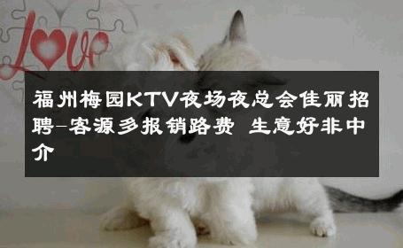 福州梅园KTV夜场夜总会佳丽招聘-客源多报销路费 生意好非中介