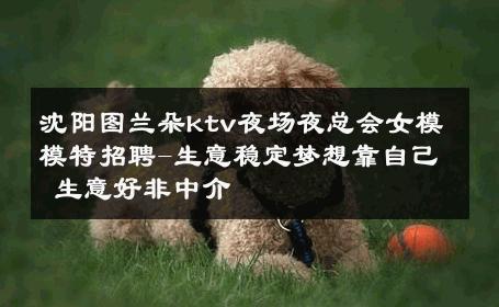 沈阳图兰朵ktv夜场夜总会女模模特招聘-生意稳定梦想靠自己 生意好非中介