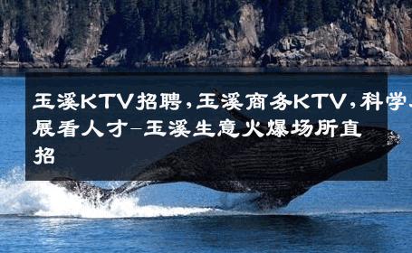 玉溪KTV招聘,玉溪商务KTV,科学发展看人才-玉溪生意火爆场所直招
