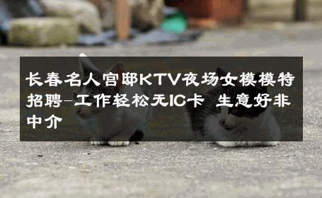 长春名人宫邸KTV夜场女模模特招聘-工作轻松无IC卡 生意好非中介