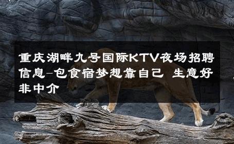 重庆湖畔九号国际KTV夜场招聘信息-包食宿梦想靠自己 生意好非中介