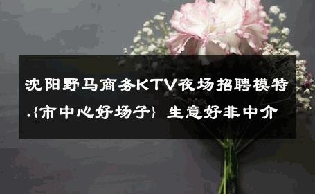 沈阳野马商务KTV夜场招聘模特.{市中心好场子} 生意好非中介
