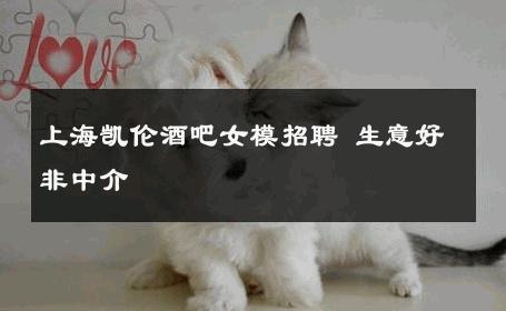 上海凯伦酒吧女模招聘 生意好非中介