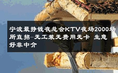 宁波最挣钱夜总会KTV夜场2000场所直招-无工装无费用无卡 生意好非中介