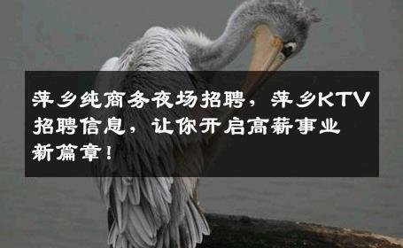 萍乡纯商务夜场招聘，萍乡KTV招聘信息，让你开启高薪事业新篇章！