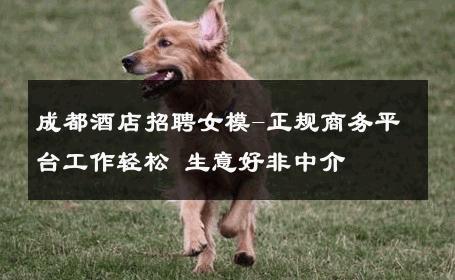 成都酒店招聘女模-正规商务平台工作轻松 生意好非中介