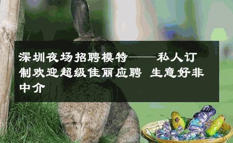 深圳夜场招聘模特——私人订制欢迎超级佳丽应聘 生意好非中介