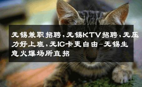 无锡兼职招聘,无锡KTV招聘,无压力好上班,无IC卡更自由-无锡生意火爆场所直招