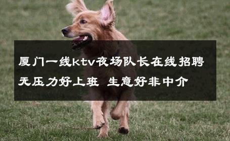厦门一线ktv夜场队长在线招聘无压力好上班 生意好非中介