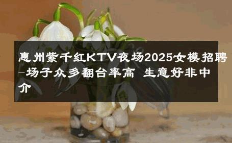 惠州紫千红KTV夜场2025女模招聘-场子众多翻台率高 生意好非中介