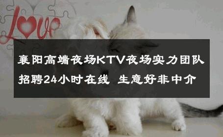 襄阳高端夜场KTV夜场实力团队招聘24小时在线 生意好非中介