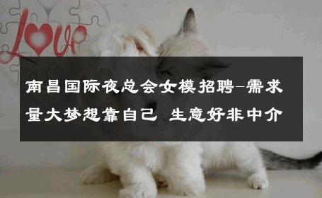 南昌国际夜总会女模招聘-需求量大梦想靠自己 生意好非中介