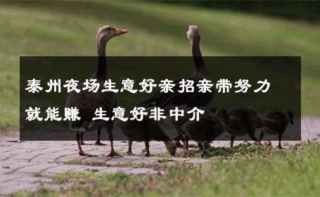 泰州夜场生意好亲招亲带努力就能赚 生意好非中介