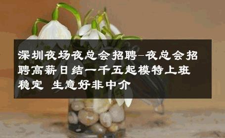 深圳夜场夜总会招聘-夜总会招聘高薪日结一千五起模特上班稳定 生意好非中介